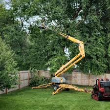 Best Tree Planting Services  in USA